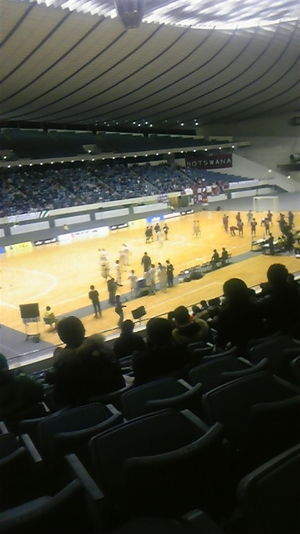 2009031323340720882.jpg