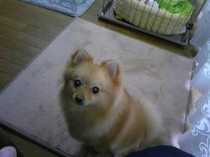 2009041713201945770.jpg