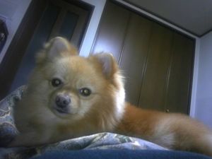 2009041713370743911.jpg