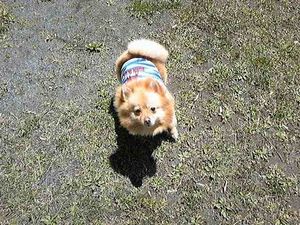 2009042814431650543.jpg