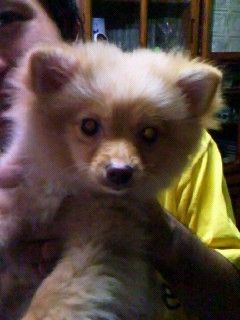 2009073123243758923.jpg