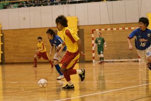 2010020123170668689.jpg