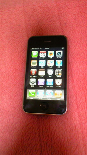 2010032323331281036.jpg