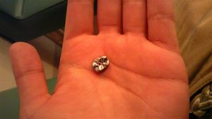 2010042200485437999.jpg
