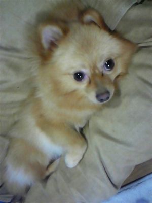 2010072323475664266.jpg