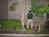 2010101123192826554.jpg