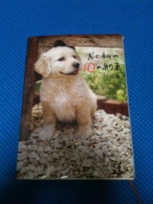 2010112110494140391.jpg