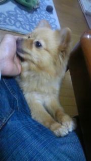 20110218002855-jHZZxSKD.jpg