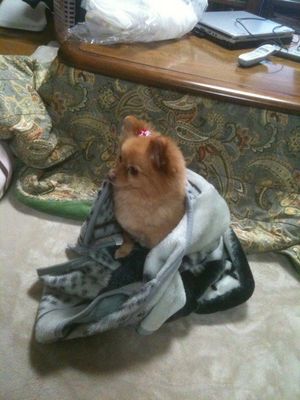 2011022823463880004.jpg