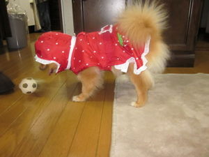 2011051400303793162.jpg