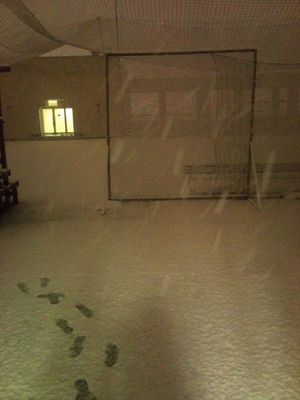 2012012323444667136.jpg