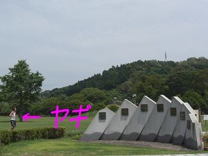 2009061116532933028.jpg