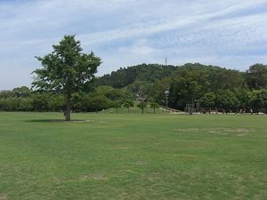 2009061117043214078.jpg