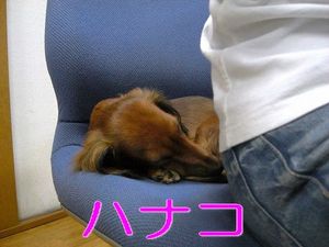 2009100521573976640.jpg