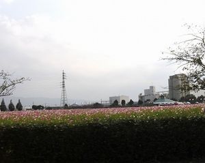 2009101323273350129.jpg