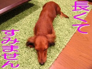 2009102322270077056.jpg