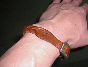 2009112502434450016.jpg