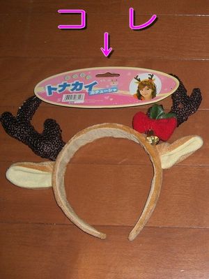 2009113022013062590.jpg