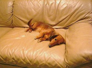 2010010302375544474.jpg