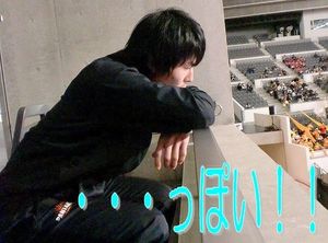2010012113584877070.jpg
