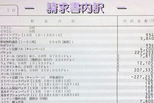 2010012113593359086.jpg