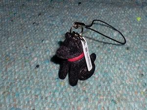 2010021804370326820.jpg