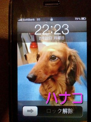 2010022400272746214.jpg