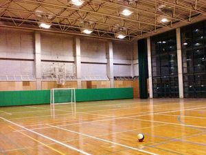 2010022517400160300.jpg