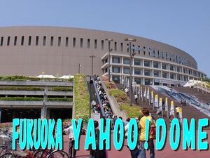 2010050602375982413.jpg