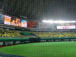 2010050603005647168.jpg