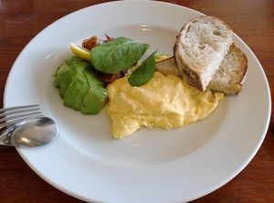2010050903182911266.jpg