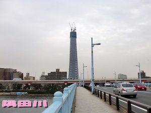 2010050903551916506.jpg
