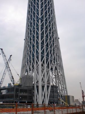 2010050903573865992.jpg