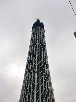 2010050903595020119.jpg