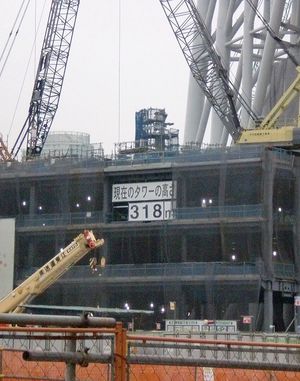 2010050904044172016.jpg