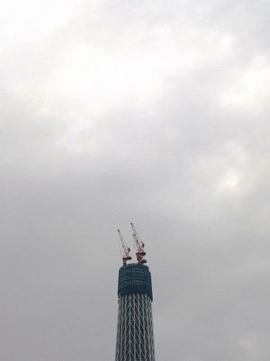 2010050904152468952.jpg