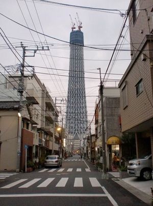 2010050904305451431.jpg