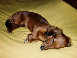 2010050904470146697.jpg