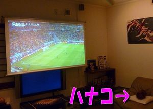 2010061203102699719.jpg
