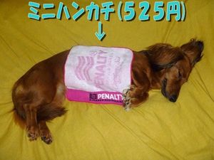 2010061203300297862.jpg