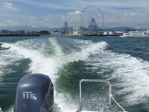 2010072703105017826.jpg