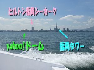 2010072703163688211.jpg
