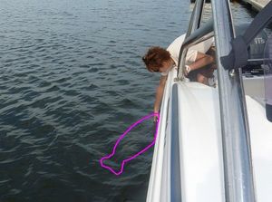 2010072703324568230.jpg