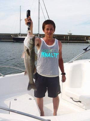 2010072703390650834.jpg