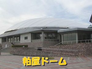 2010072703495257409.jpg