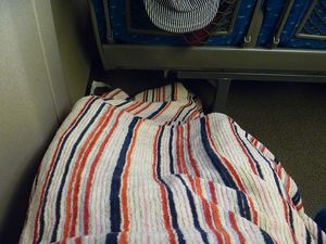 2010081003423712193.jpg