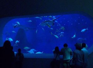 2010082402493999907.jpg