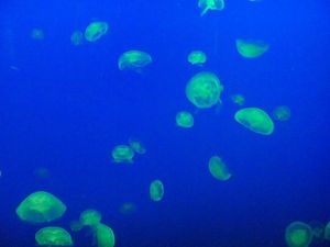 2010082402511810313.jpg