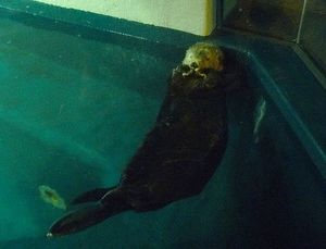 2010082402520666334.jpg