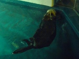 2010082402524341811.jpg